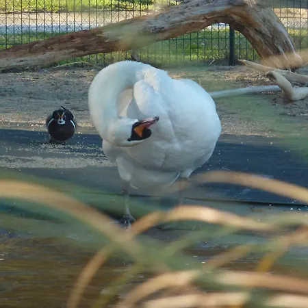 Campeggio Le Sainte Marie Canet-en-Roussillon