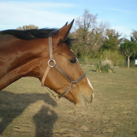 Le Marie Campeggio 4*