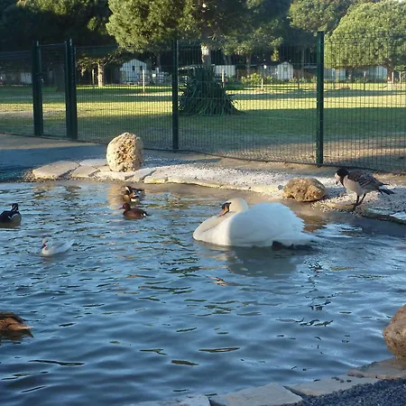 Campsite Le Marie Sainte-Marie-la-Mer